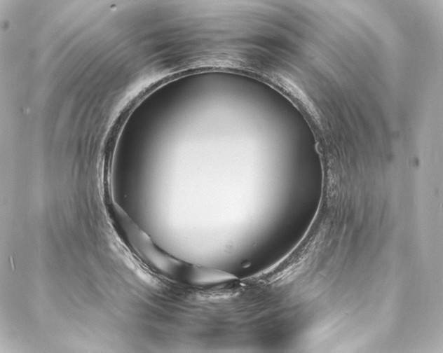 X0000088131035200705141437