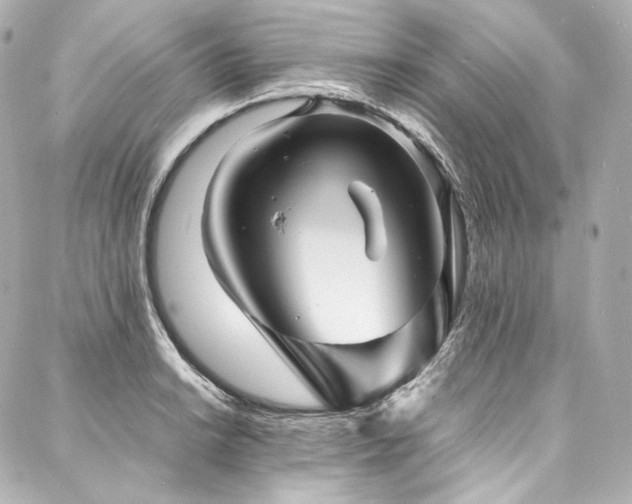 X0000088131038200705141437