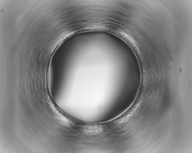 X0000088131041200705141437
