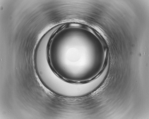 X0000088131046200705141437