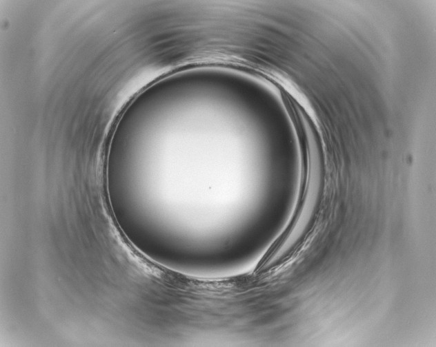 X0000088131053200705141437