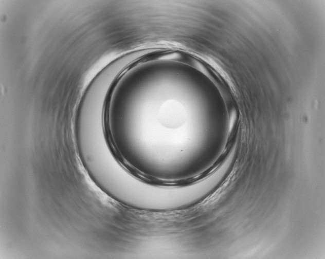 X0000088131054200705141437