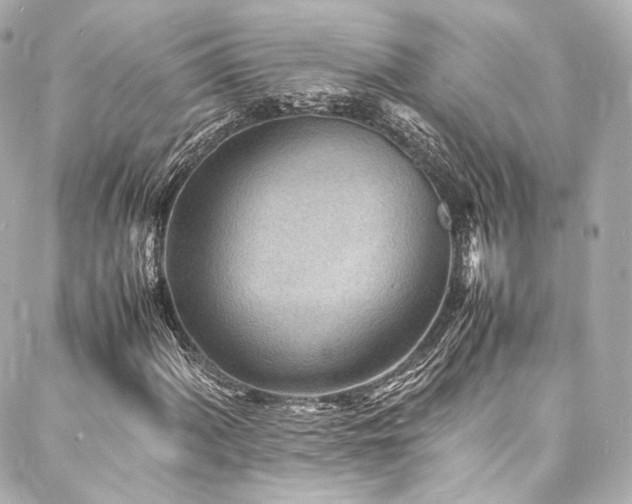 X0000088131060200705141436