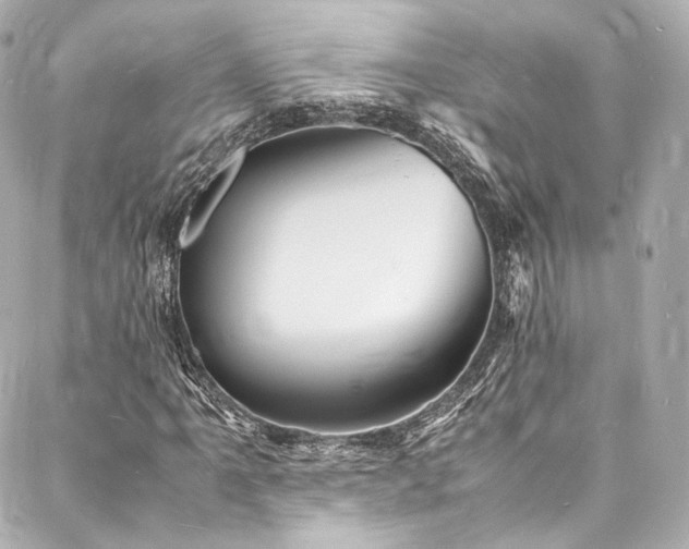X0000088131061200705141436