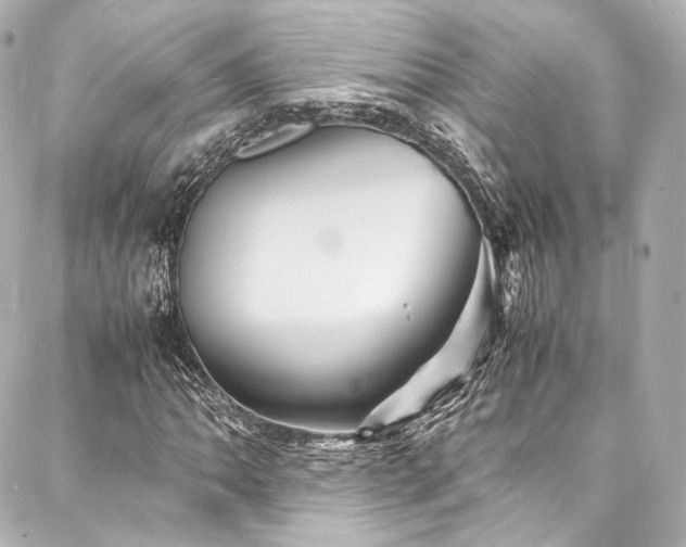 X0000088131062200705141436