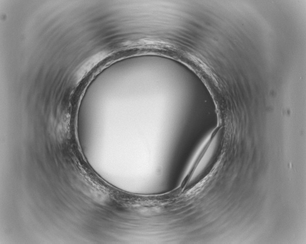 X0000088131066200705141436