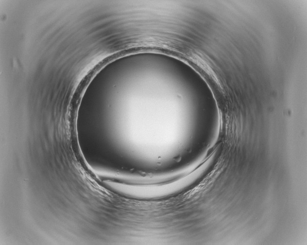 X0000088131068200705141436