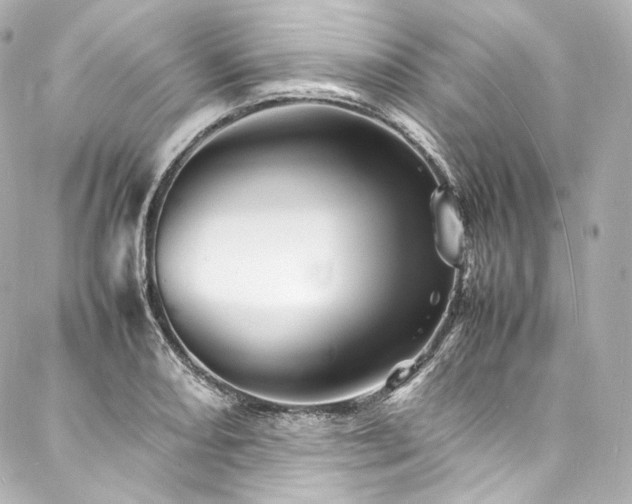X0000088131082200705141436