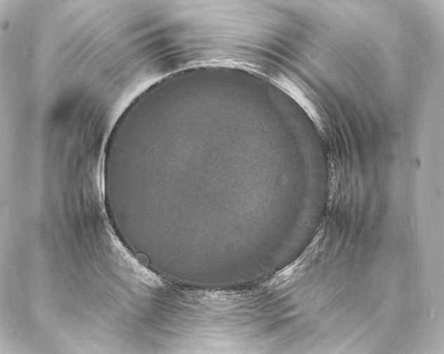 X0000088131084200705141436