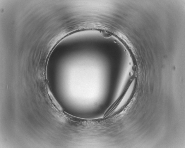 X0000088131089200705141436