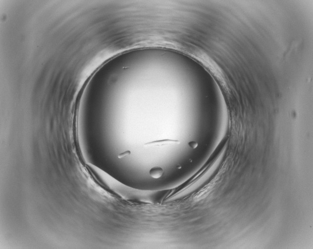 X0000088131102200705141436