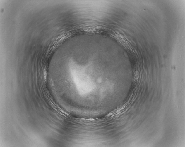 X0000088131106200705141435