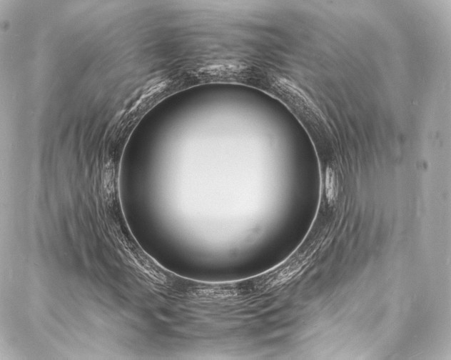 X0000088131107200705141435