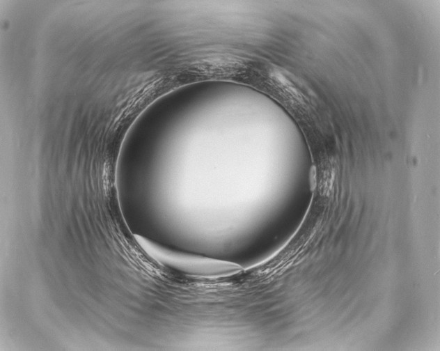 X0000088131108200705141435
