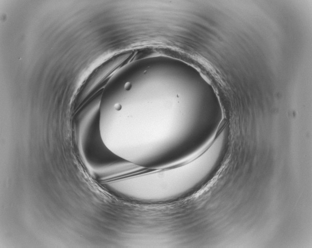 X0000088131118200705141435