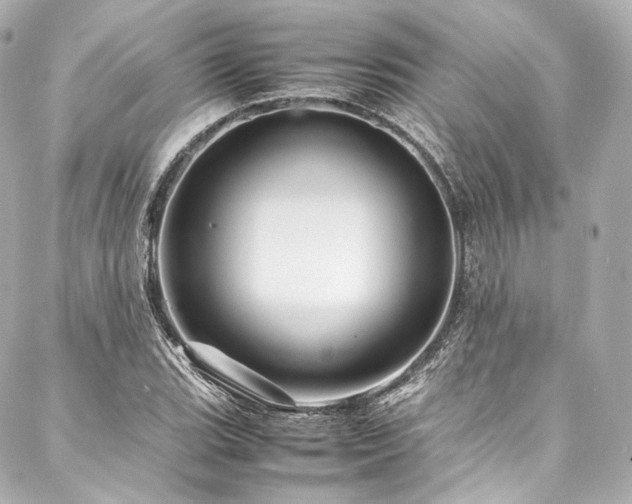 X0000088131119200705141435