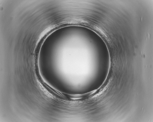 X0000088131122200705141435