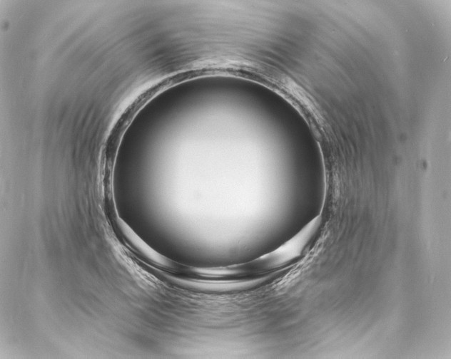 X0000088131124200705141435