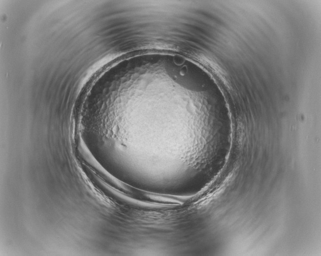 X0000088131125200705141435