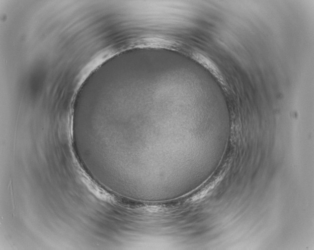 X0000088131130200705141435
