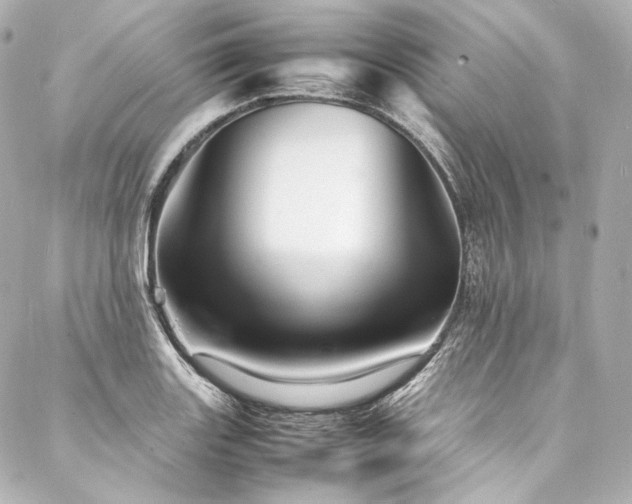 X0000088131131200705141435