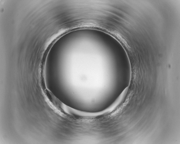 X0000088131134200705141435