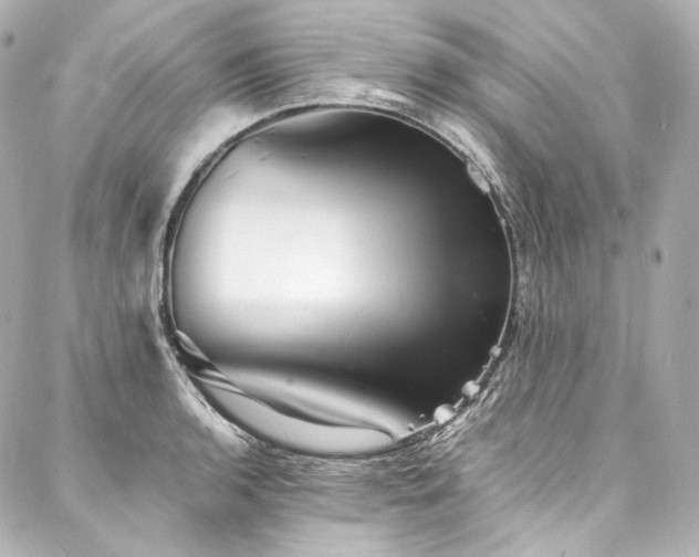 X0000088131136200705141435