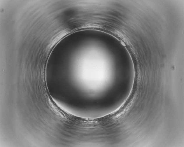 X0000088131137200705141435