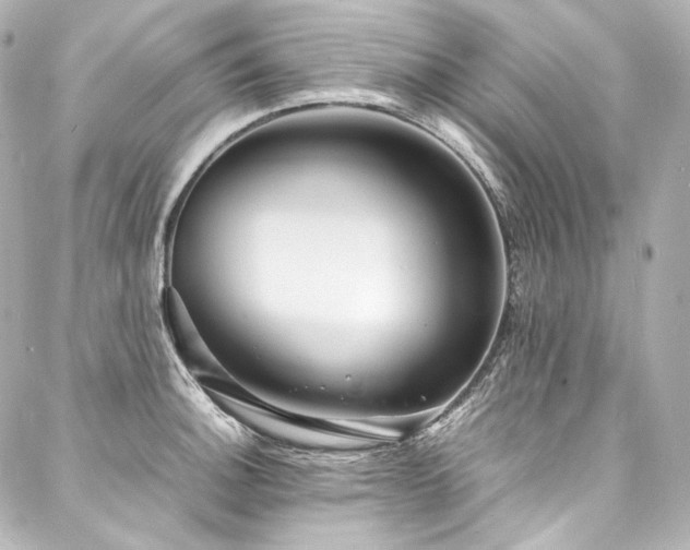 X0000088131140200705141435
