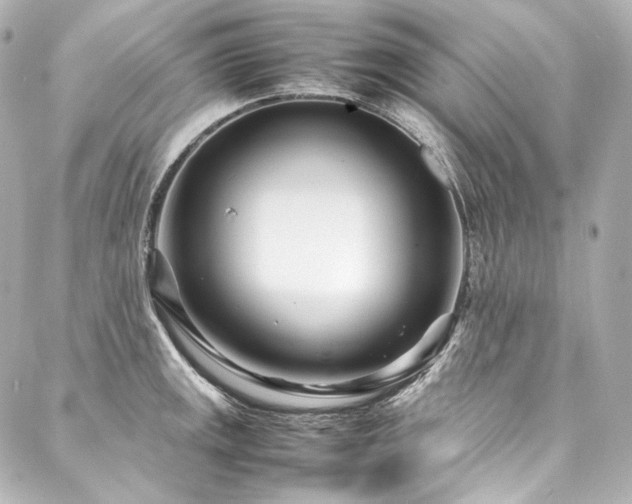 X0000088131141200705141436