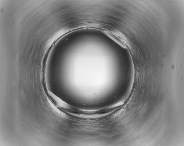 X0000088131143200705141436