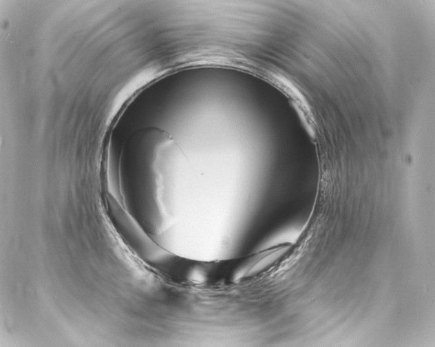 X0000088131146200705141436