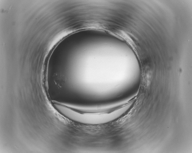 X0000088131147200705141436