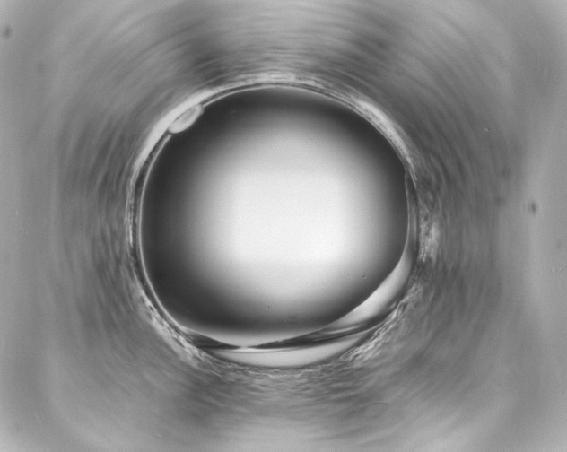 X0000088131148200705141436