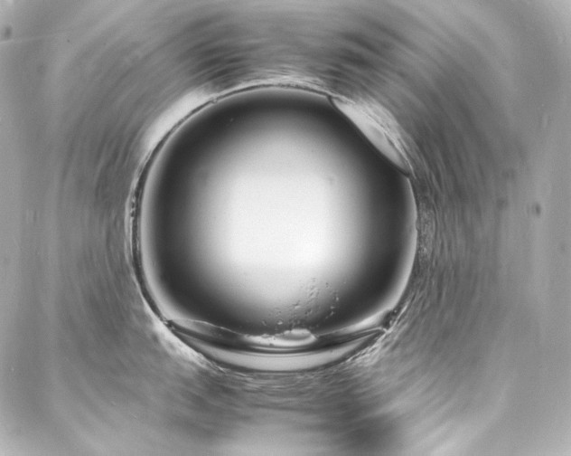X0000088131151200705141436