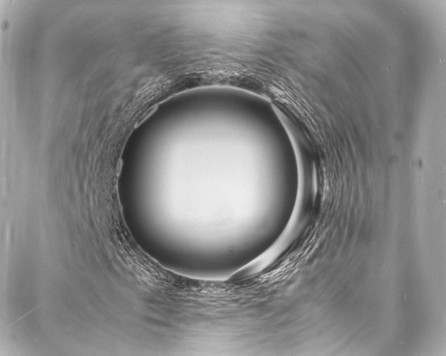 X0000088131153200705141435