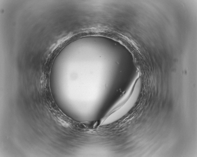 X0000088131160200705141435