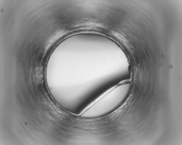 X0000088131164200705141435