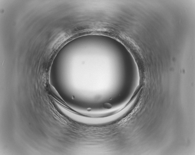 X0000088131169200705141435
