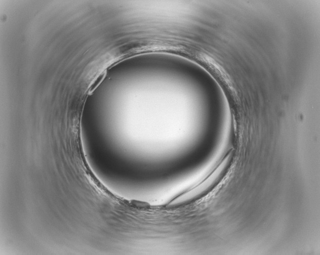 X0000088131185200705141434