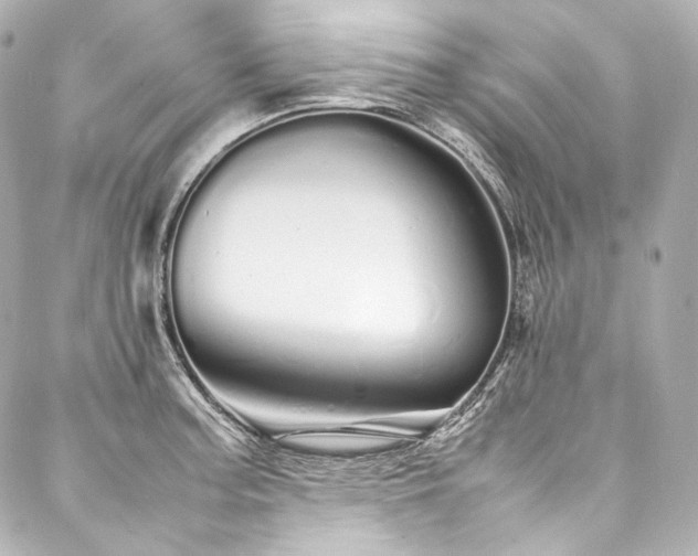 X0000088131187200705141434