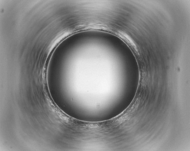X0000088131190200705141434