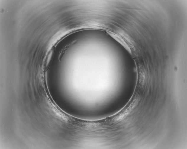 X0000088131192200705141434