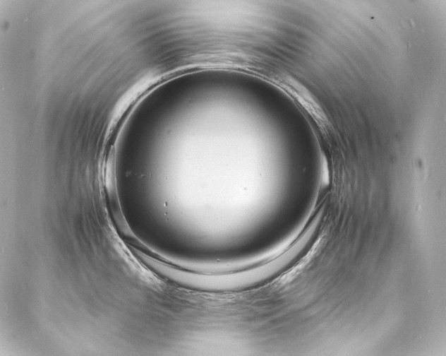 X0000088131196200705141434