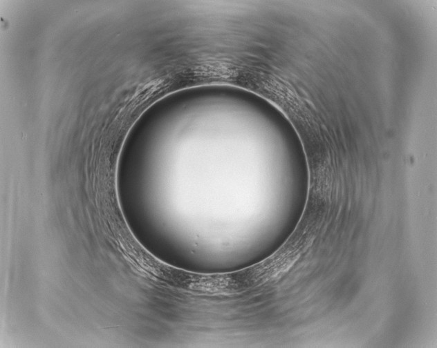 X0000088131201200705141433