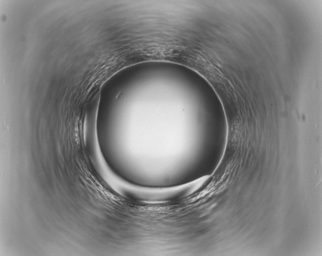 X0000088131202200705141433