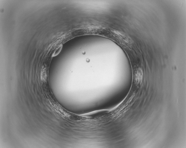 X0000088131204200705141433