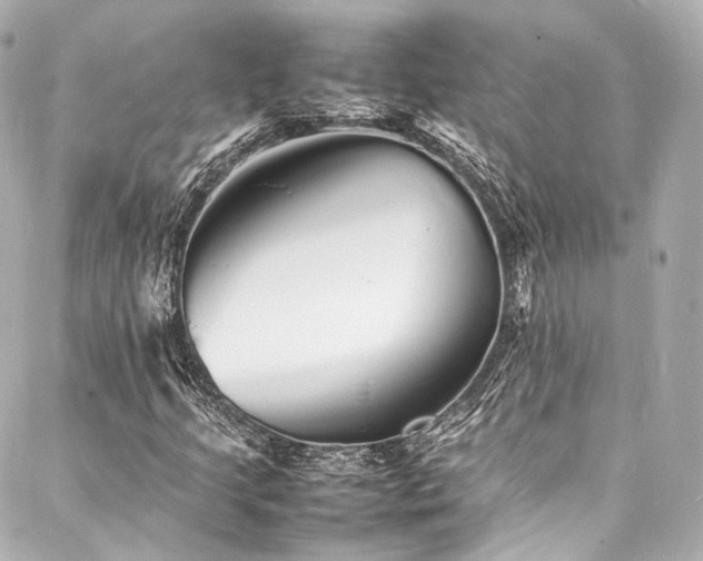 X0000088131205200705141433