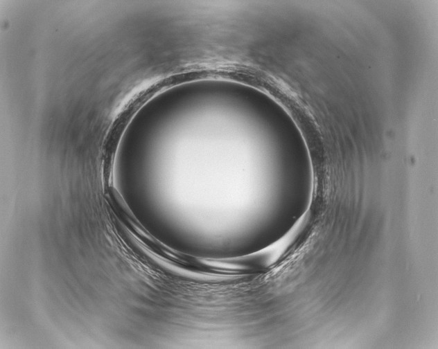 X0000088131214200705141434