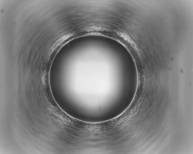 X0000088131217200705141434